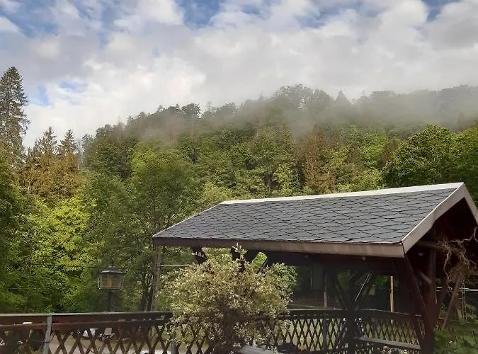Forsthaus Hotel 3*